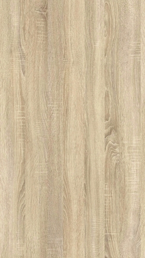 ModernWood Texture