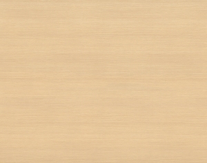 ModernWood Texture