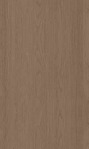 ModernWood Texture