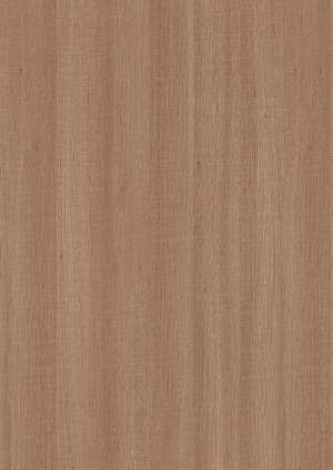 ModernWood Texture