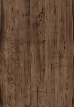 ModernWood Texture