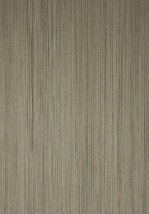 ModernWood Texture