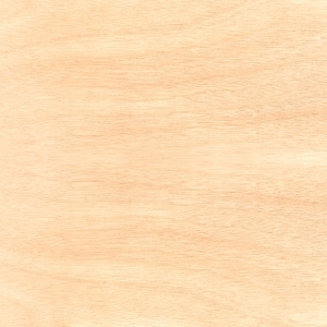 ModernWood Texture