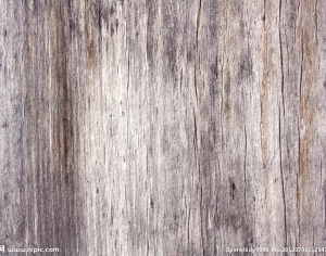 ModernWood Texture