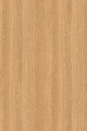 ModernWood Texture