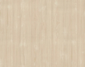 ModernWood Texture