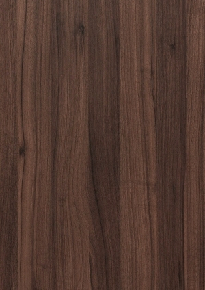 ModernWood Texture