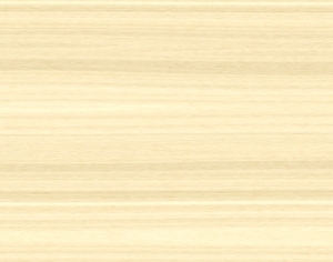 ModernWood Texture