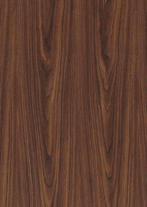ModernWood Texture
