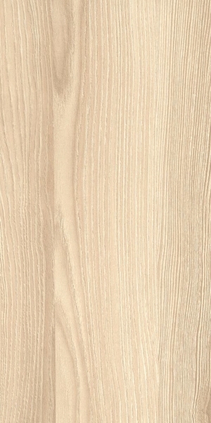 ModernWood Texture