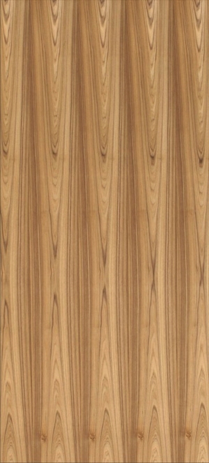 ModernWood Texture