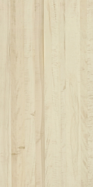 ModernWood Texture