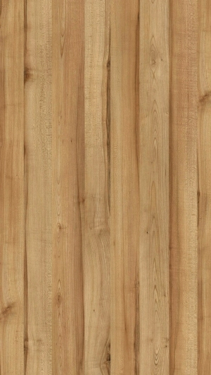 ModernWood Texture