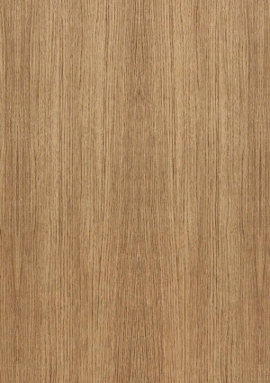 ModernWood Texture