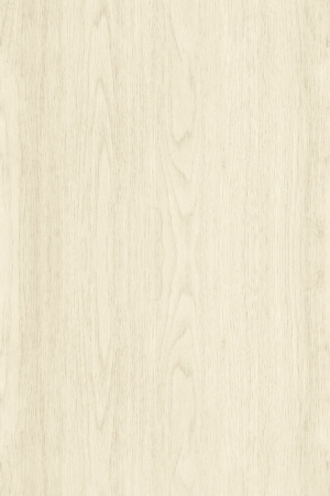 ModernWood Texture