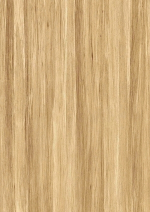 ModernWood Texture