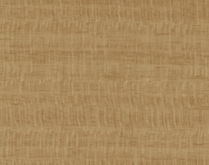 ModernWood Texture