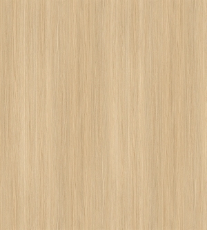 ModernWood Texture