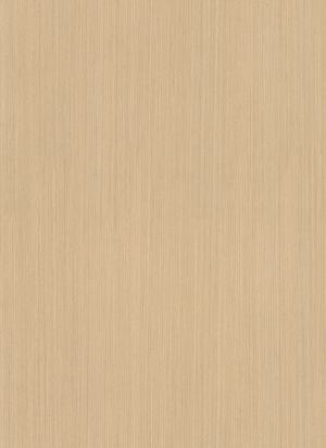 ModernWood Texture
