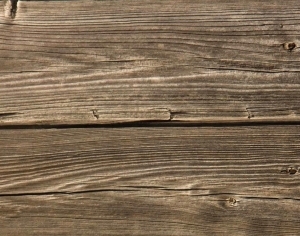 ModernWood Texture