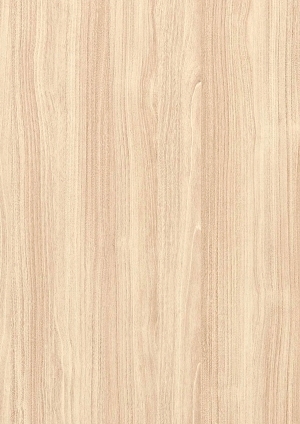 ModernWood Texture
