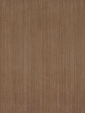 ModernWood Texture
