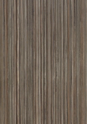 ModernWood Texture