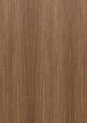 ModernWood Texture