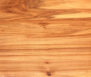 ModernWood Texture