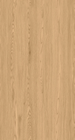 ModernWood Texture