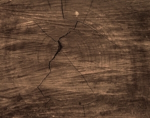 ModernWood Texture