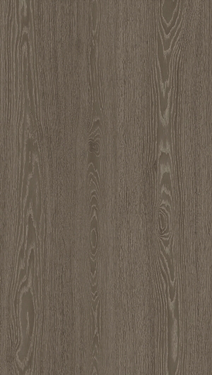 ModernWood Texture