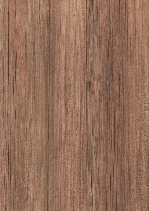 ModernWood Texture