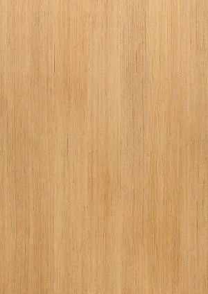 ModernWood Texture