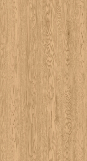 ModernWood Texture