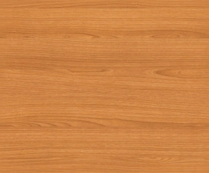 ModernWood Texture