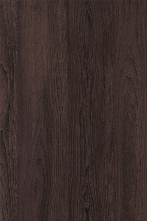 ModernWood Texture
