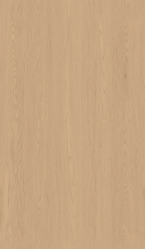 ModernWood Texture