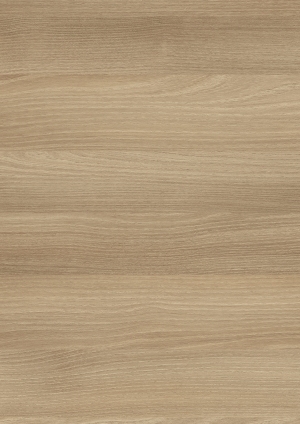 ModernWood Texture