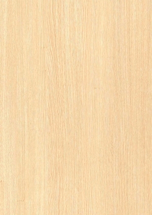 ModernWood Texture