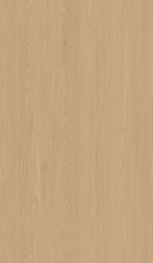 ModernWood Texture