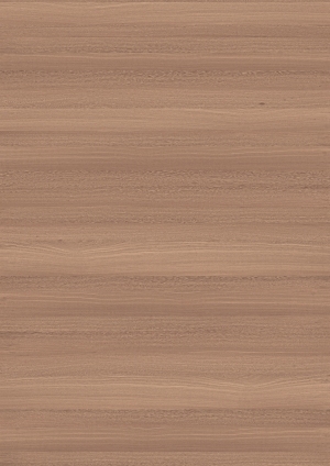 ModernWood Texture