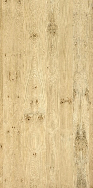 ModernWood Texture