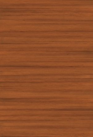 ModernWood Texture