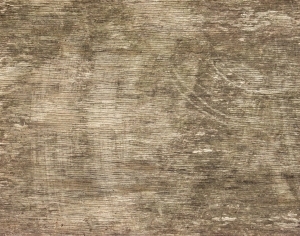 ModernWood Texture