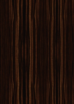 ModernWood Texture