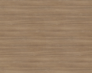 ModernWood Texture
