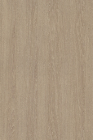 ModernWood Texture