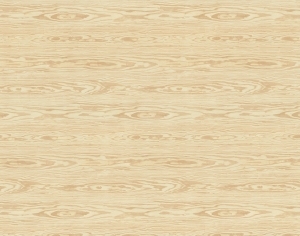 ModernWood Texture