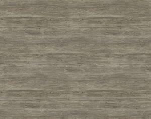 ModernWood Texture
